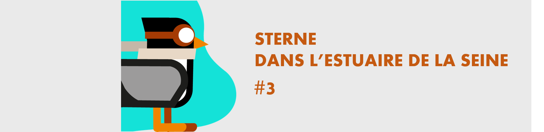 Sterne dans l’estuaire de la Seine #3