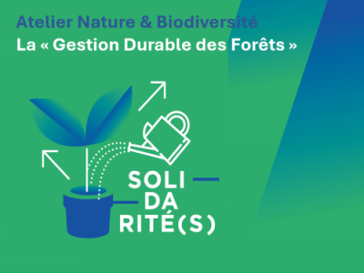 Atelier « Gestion Durable des forêts »