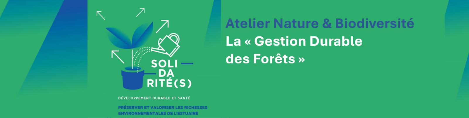 Atelier « Gestion Durable des forêts »