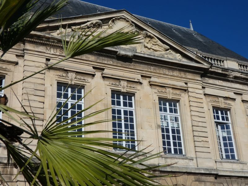 Explorez les mondes du vivant au Muséum d’histoire naturelle