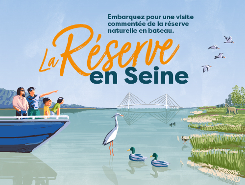 Miniature la Réserve en Seine - saison 2026